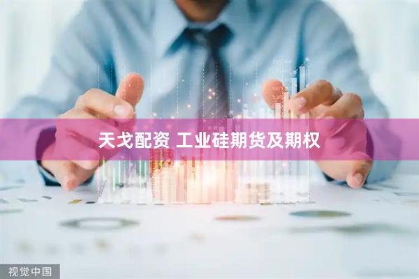 天戈配资 工业硅期货及期权