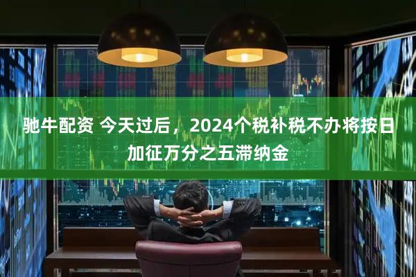 驰牛配资 今天过后，2024个税补税不办将按日加征万分之五滞纳金
