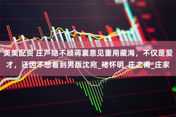 美美配资 庄芦隐不顾蒋襄意见重用藏海，不仅是爱才，还因不想看到男版沈宛_褚怀明_庄之甫_庄家